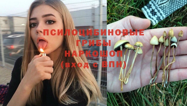 jwh Михайловск