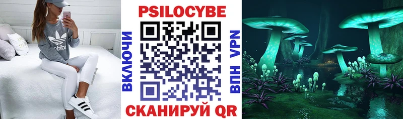 Галлюциногенные грибы Psilocybe  Купить закладки  Ирбит 